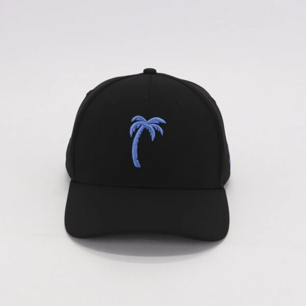 Gorra negra