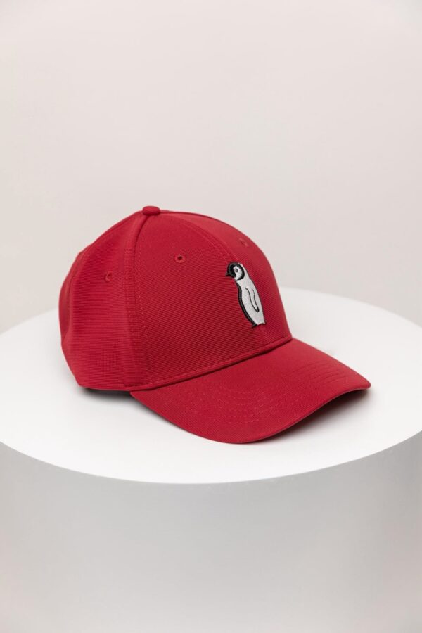 Gorra roja