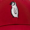 Gorra roja