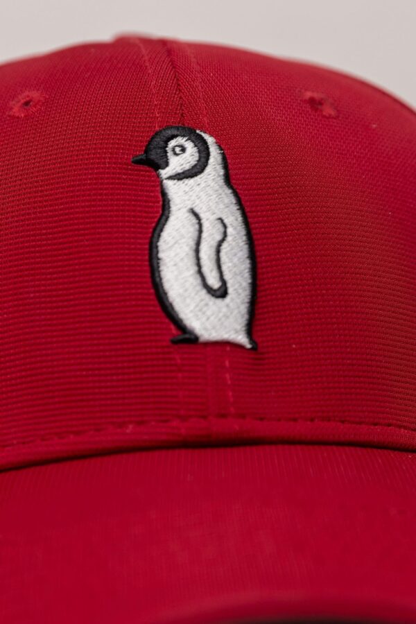 Gorra roja